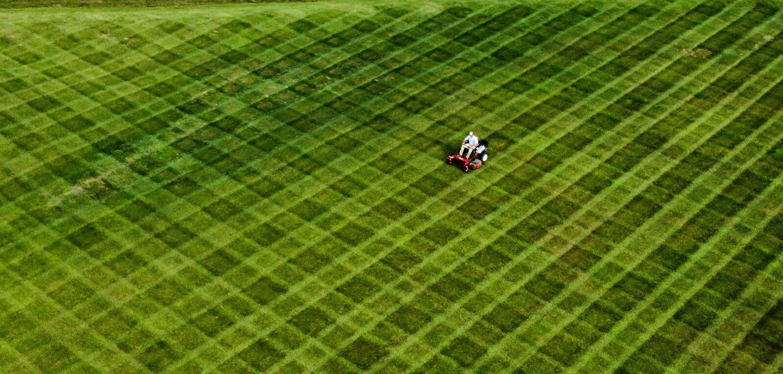 a person in a field of green grass